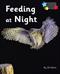Feeding at Night: Phonics Phase 3